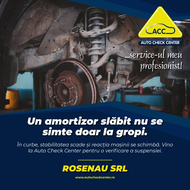 ROSENAU_SRL_post3